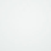 Buche Massiv Weiss Deckend Lackiert Buche Massiv Weiss Deckend Lackiert