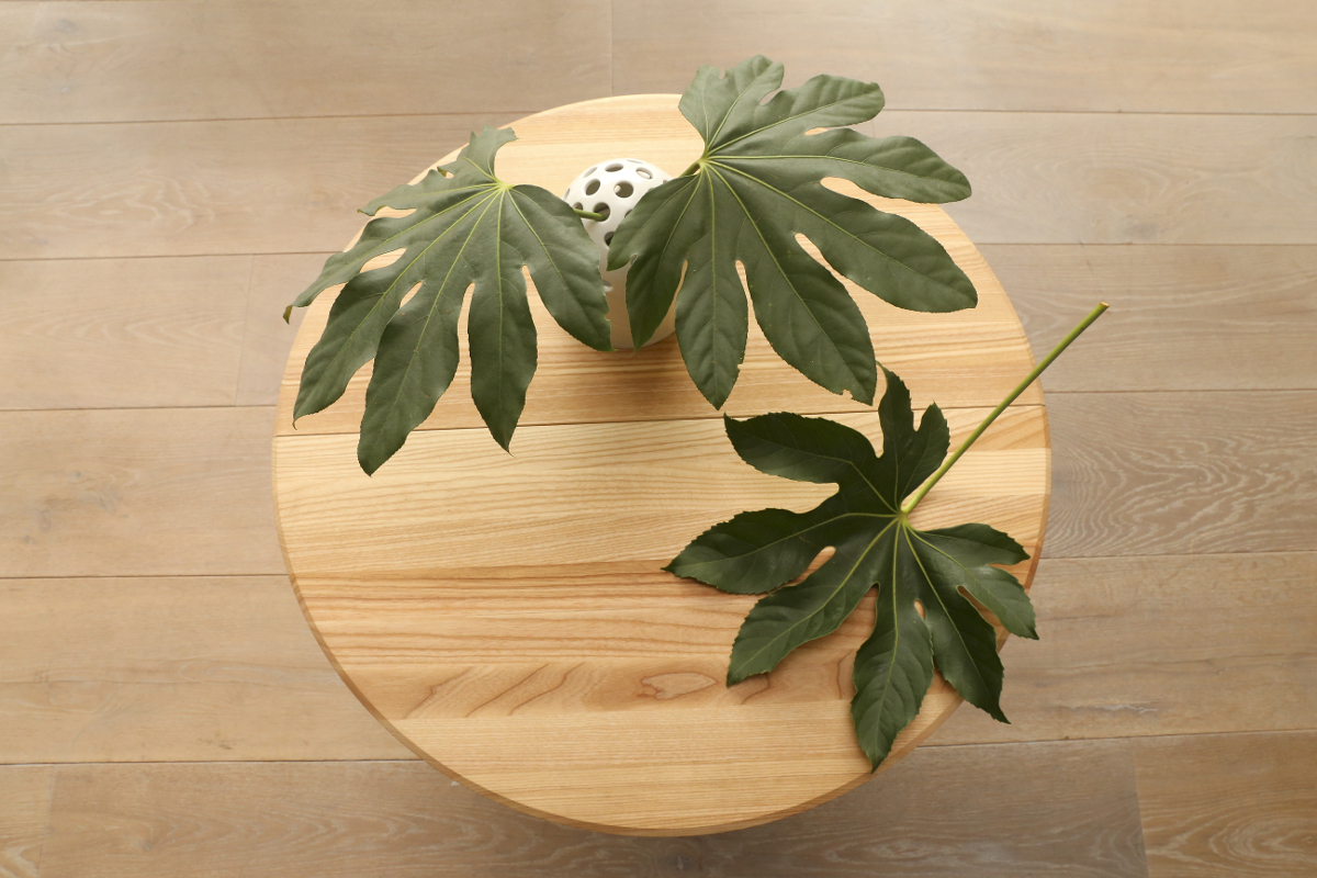 115. Massivholztisch Y - Esche - Barowski-Wohnraum - Schadstofffrei - Formaldehydfrei